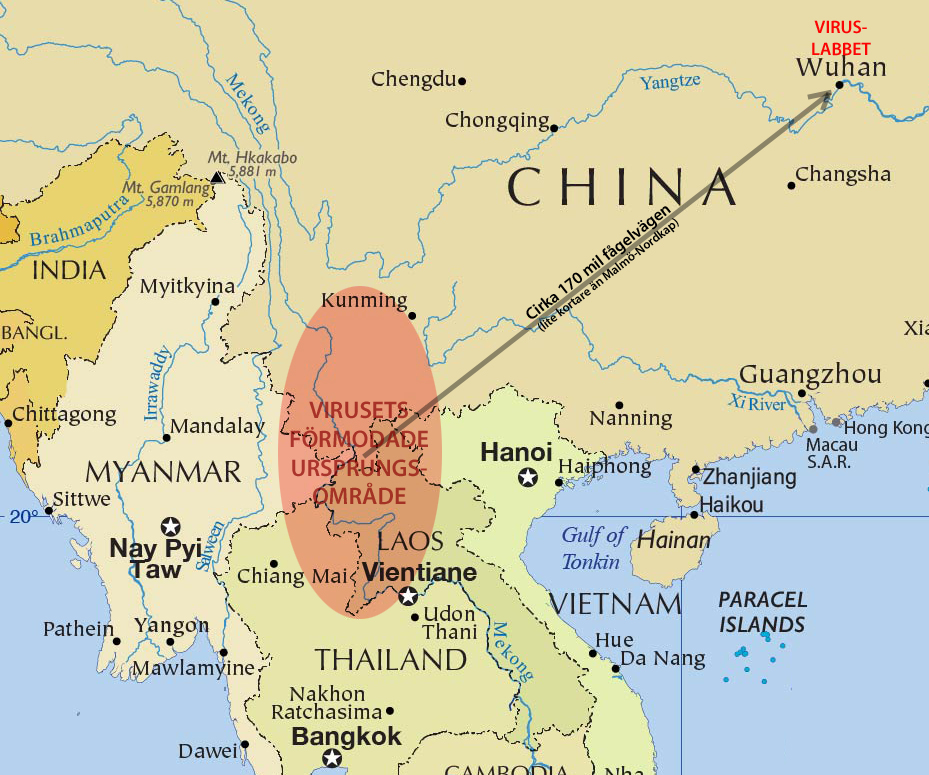 Viruset tros härstamma från gränstrakterna mellan Laos, Burma, Kina och Vietnam och ha först till labbet i Wuhan med fladdermöss använda till virusexperiment..